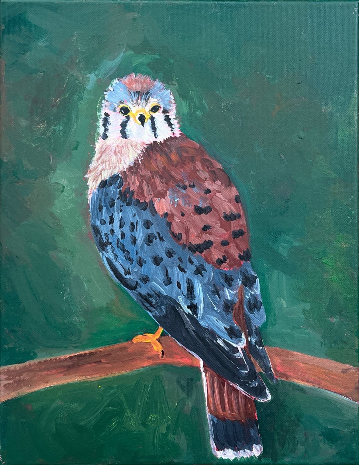 Kestrel Print